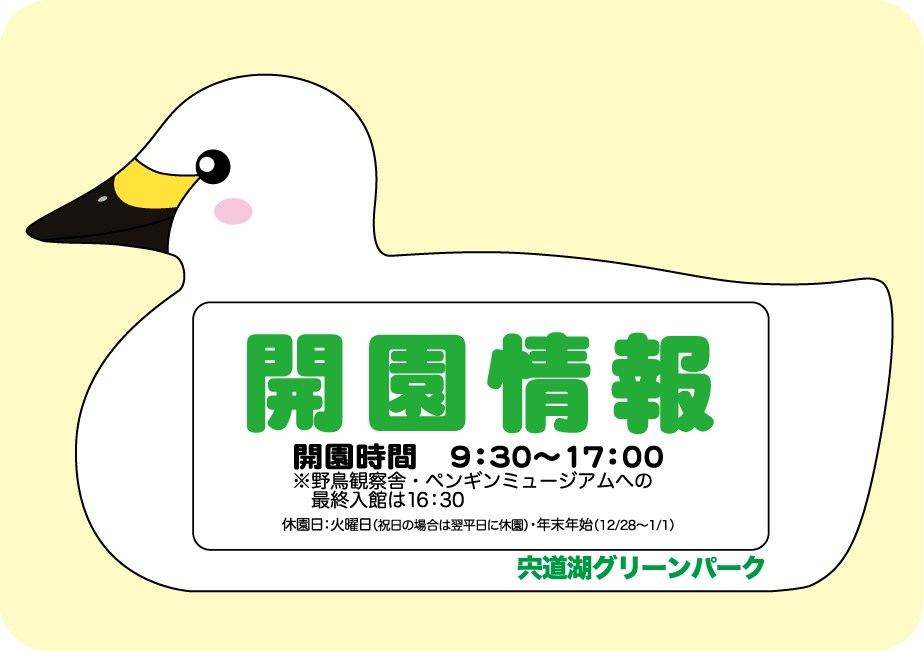 写真の説明