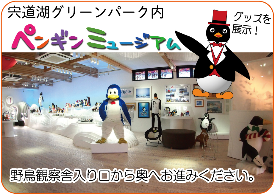 写真の説明