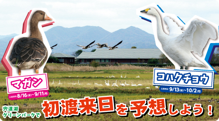 写真の説明