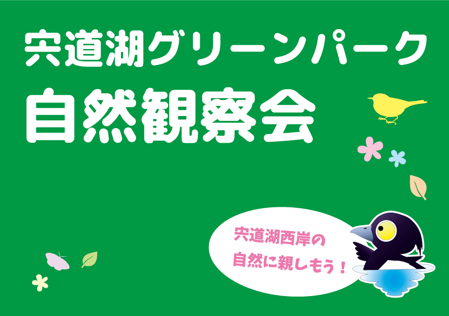 写真の説明