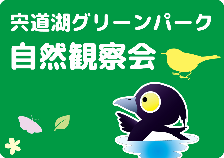 写真の説明