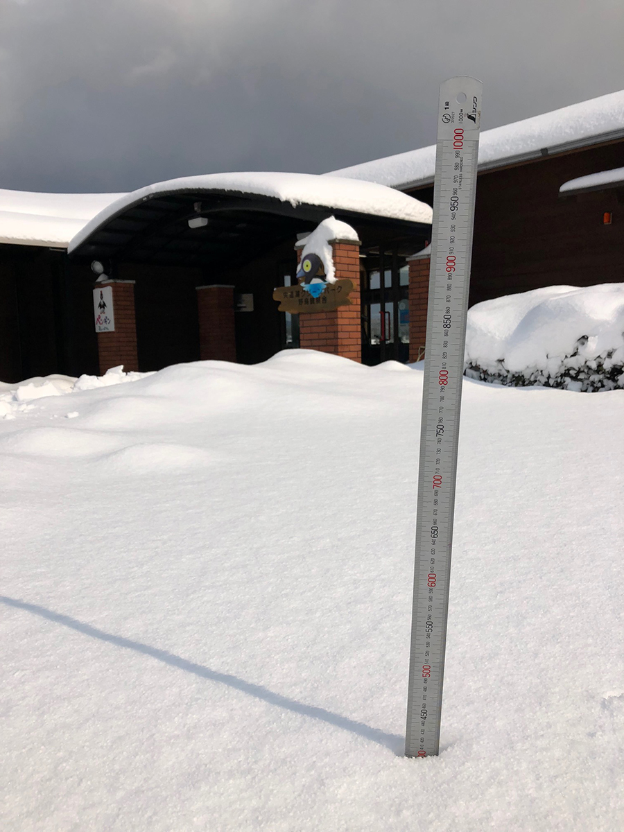 大雪 大雪