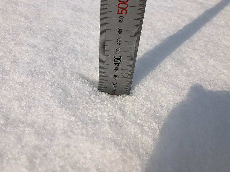 大雪 大雪