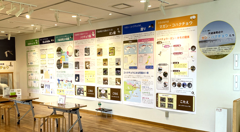 展示 展示
