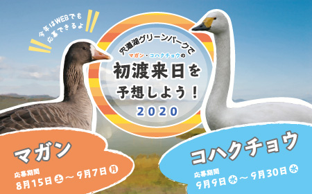 い自然観察会