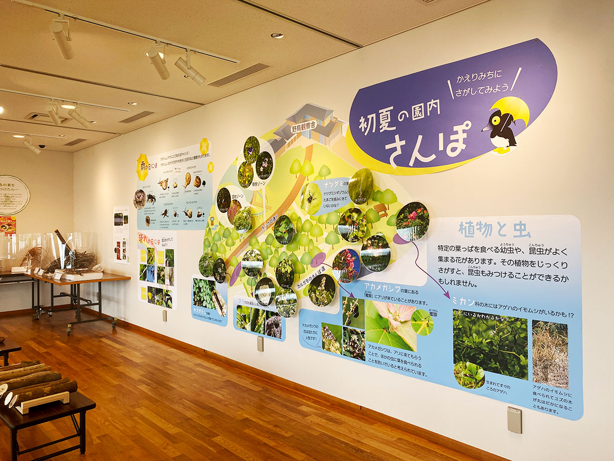 展示のようす 展示のようす