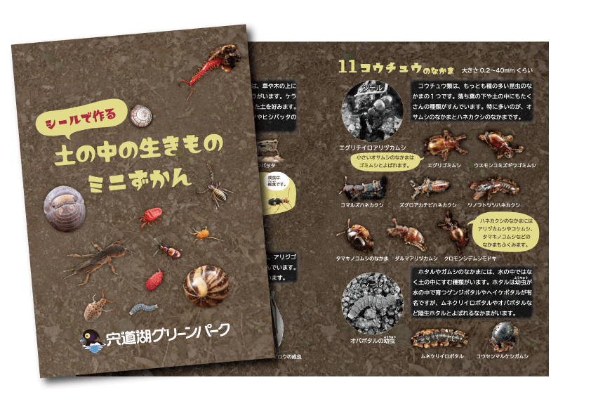 展示紹介 展示紹介