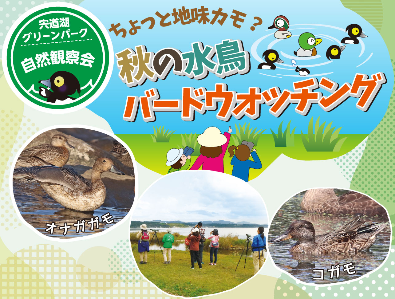 観察会 観察会