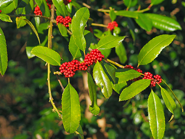 �^�����E