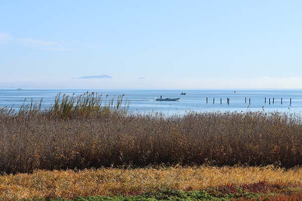 12/19������