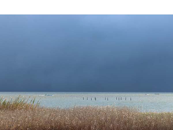 12/26������