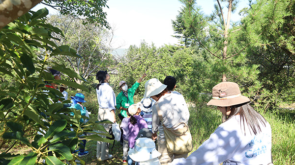 観察のようす 観察のようす