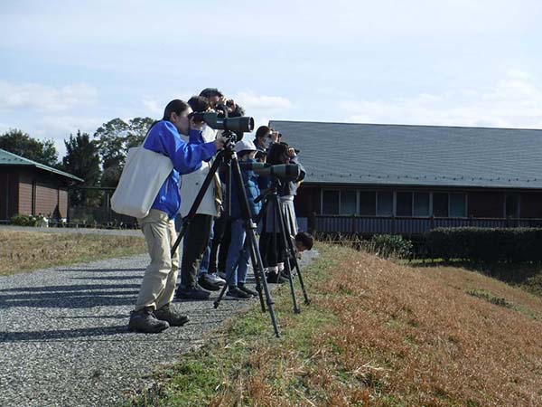 �ώ@�̂悤��