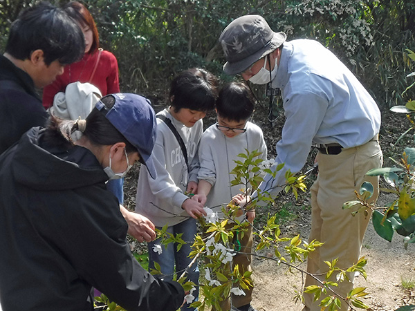 �ώ@�̂悤��