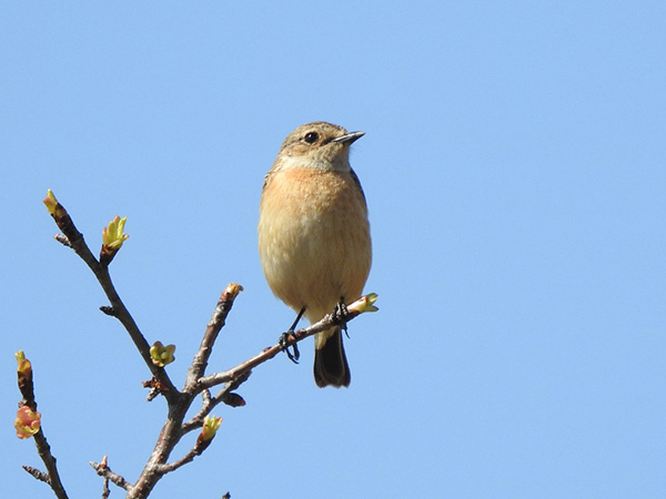 �m�r�^�L�@���X