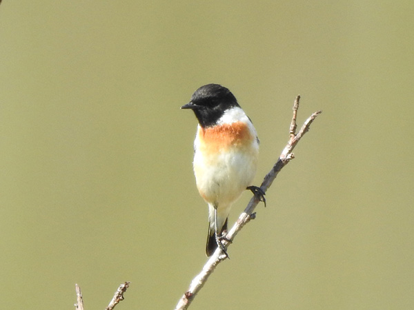 �m�r�^�L�@�I�X