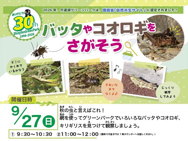 コーナー展示