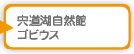 宍道湖自然館 ゴビウス