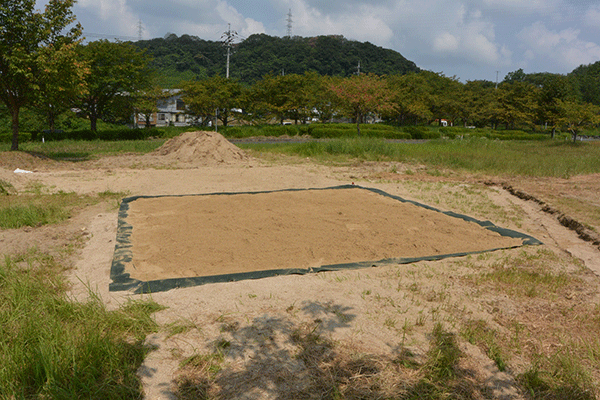 草地・裸地ビオトープ試験区