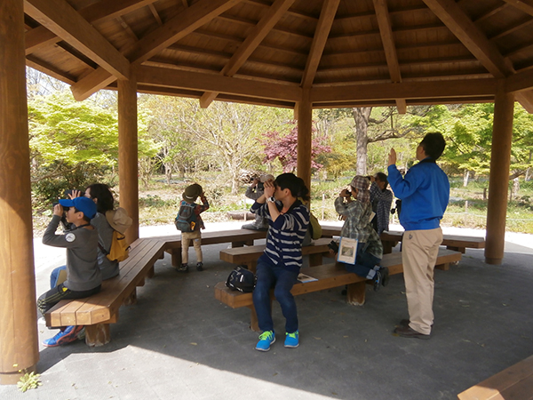 4月の自然観察会 4月の自然観察会