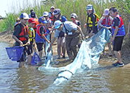 宍道湖で活動