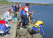 湖岸で採集