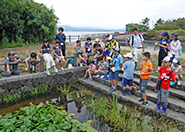 宍道湖で活動