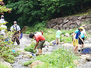 斐伊川の上流で生きもの採集