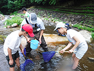 斐伊川の上流で生きもの採集