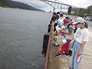 境水道の水の流れを観察