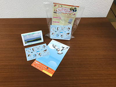 2018年のお正月プレゼント 2018年のお正月プレゼント