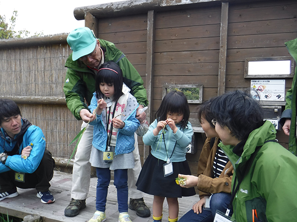 4月の観察会 4月の観察会