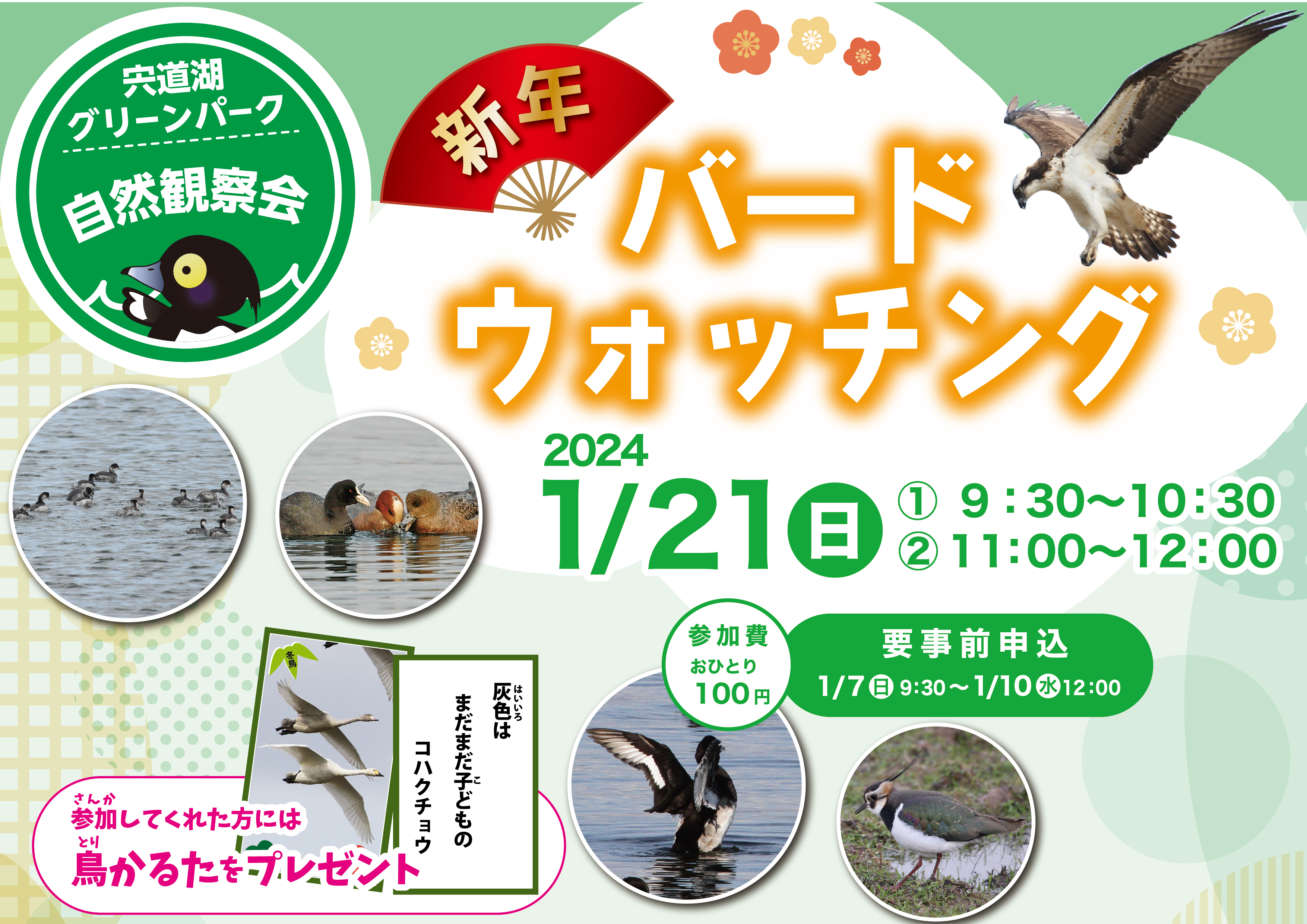 観察会 観察会