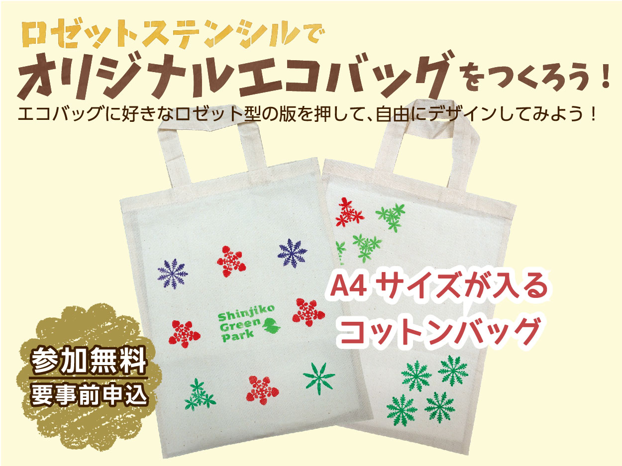 ヒヨドリ ヒヨドリ