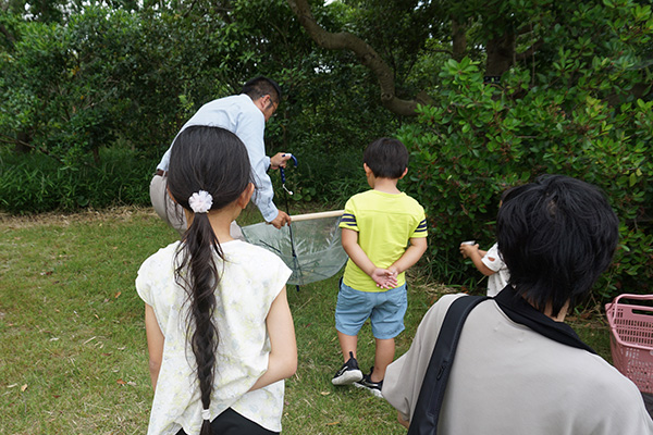 観察のようす 観察のようす