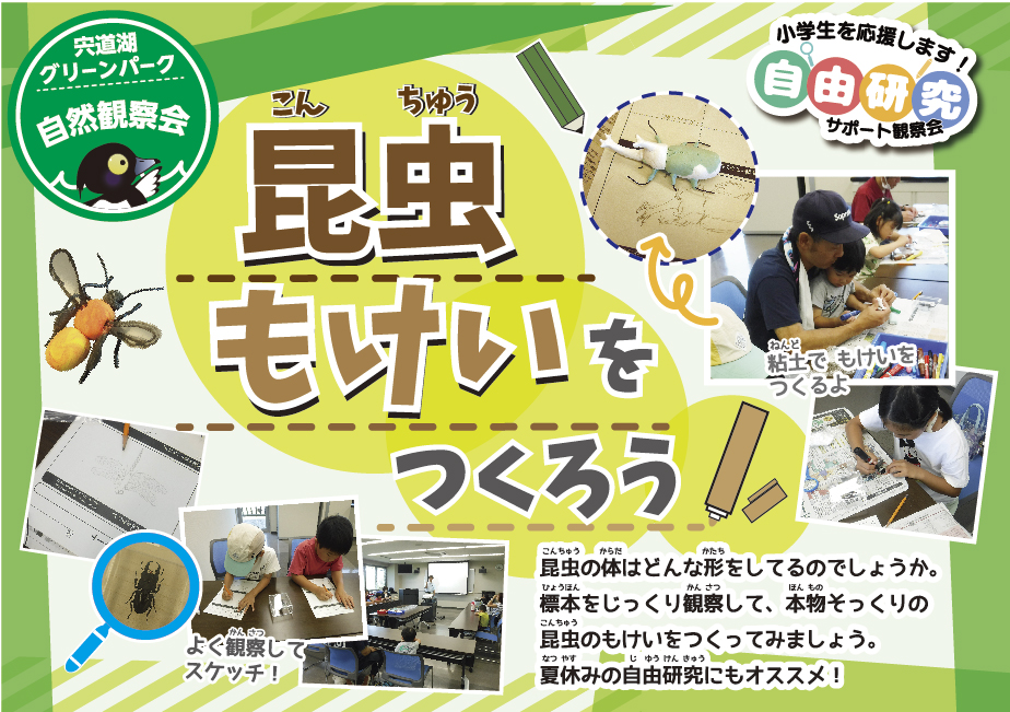 自然観察会