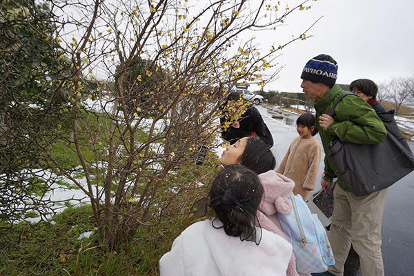 �ώ@�̂悤��