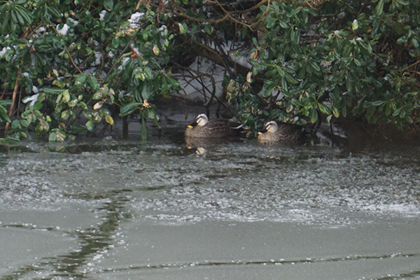 �J���K��