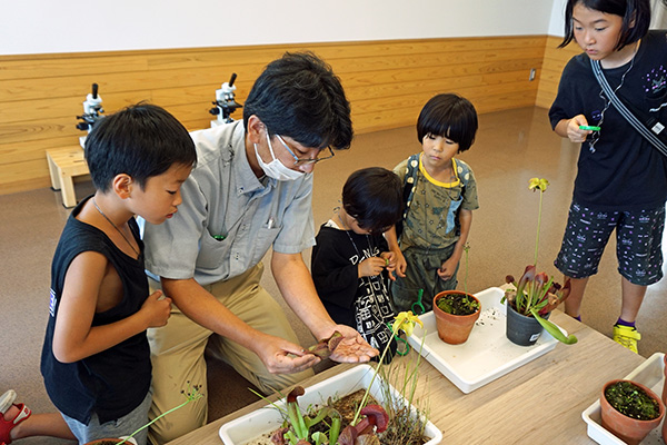 観察のようす 観察のようす