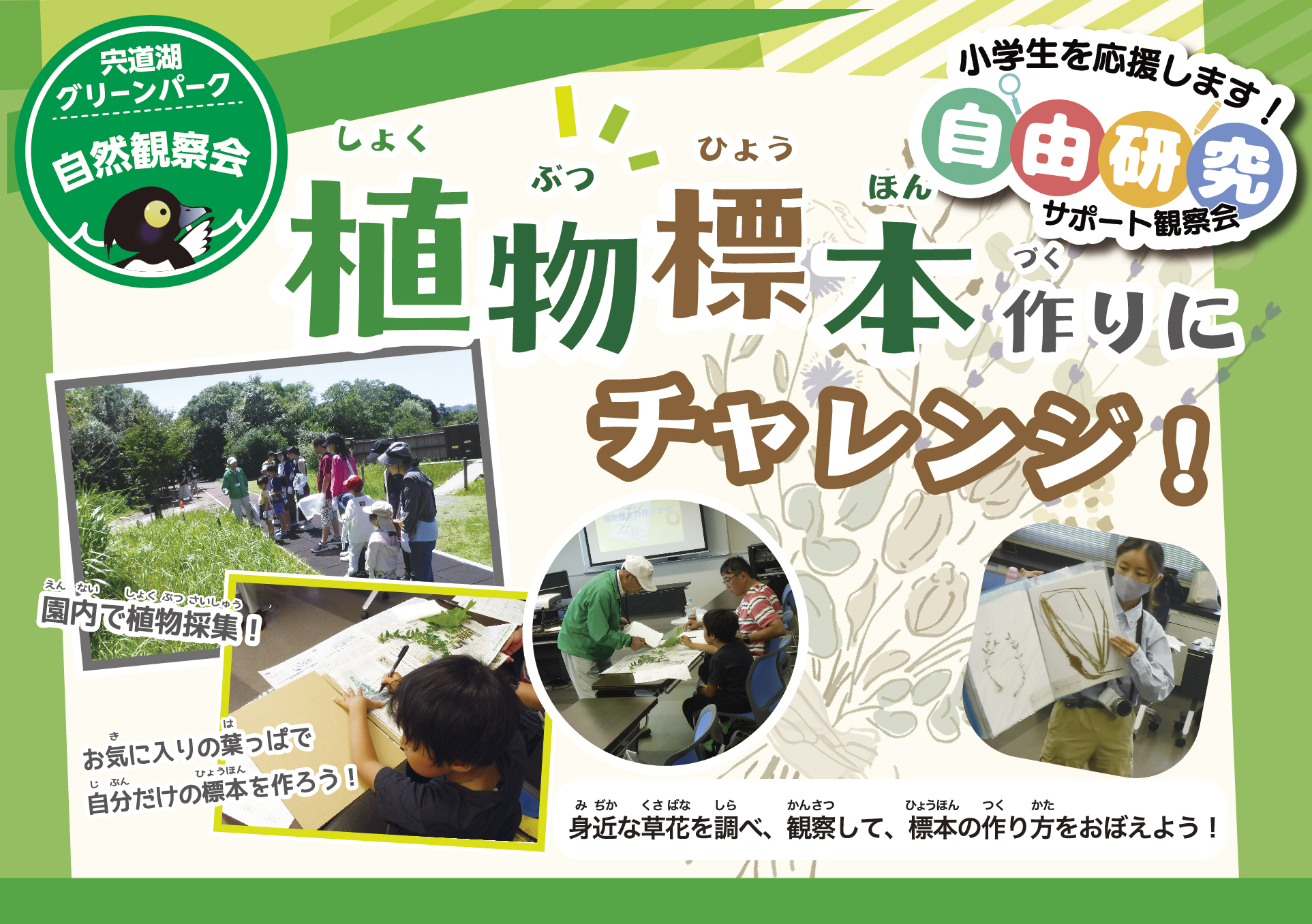 自然観察会
