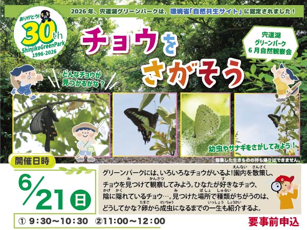 コーナー展示