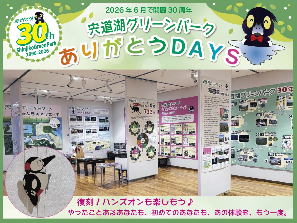 コーナー展示