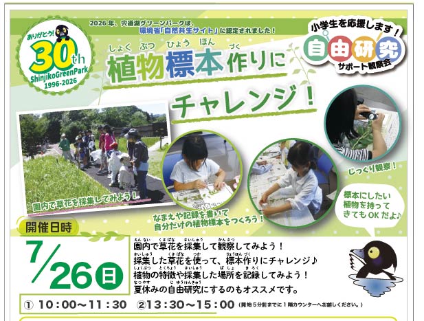 コーナー展示