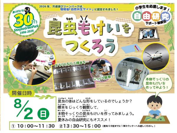 コーナー展示