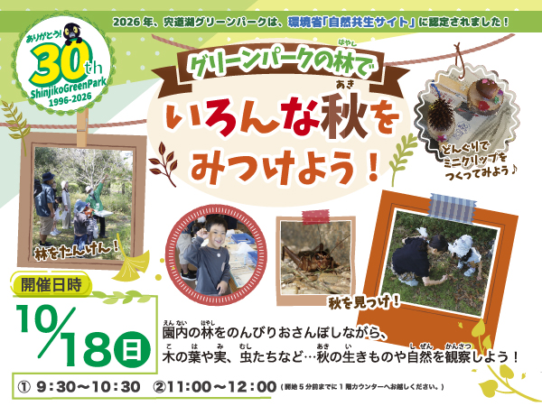 コーナー展示