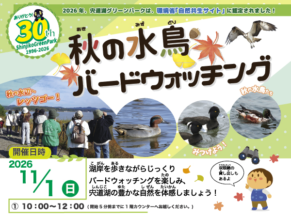 コーナー展示