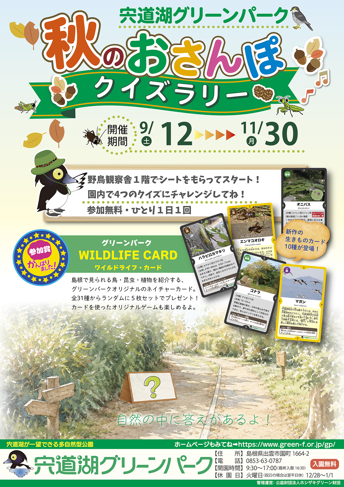 コーナー展示