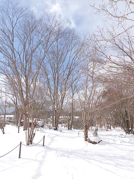 雪景色