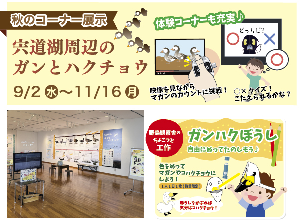 コーナー展示