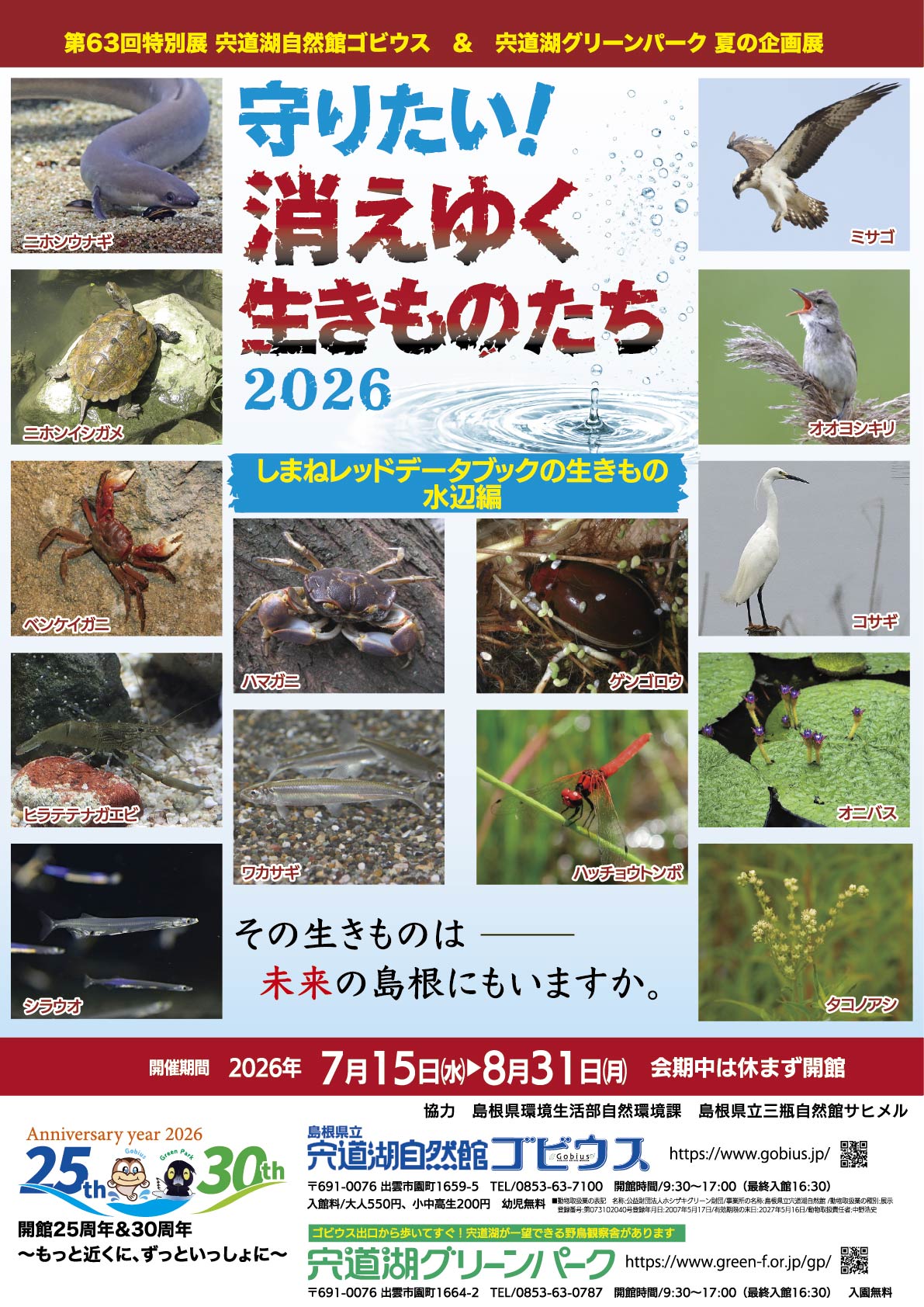 夏の特別展企画展